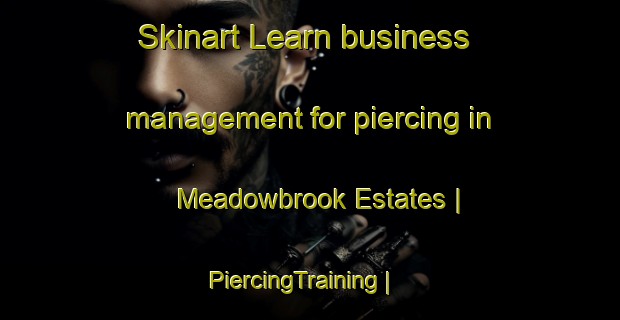Skinart Learn business management for piercing in Meadowbrook Estates | PiercingTraining | PiercingClasses | SkinartTraining-United States